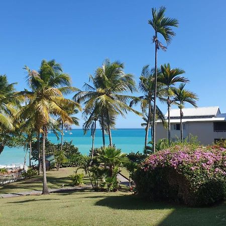 Grand Studio De 41 M², Vue Mer Et Jardin Tropical. Le Gosier  Exterior foto