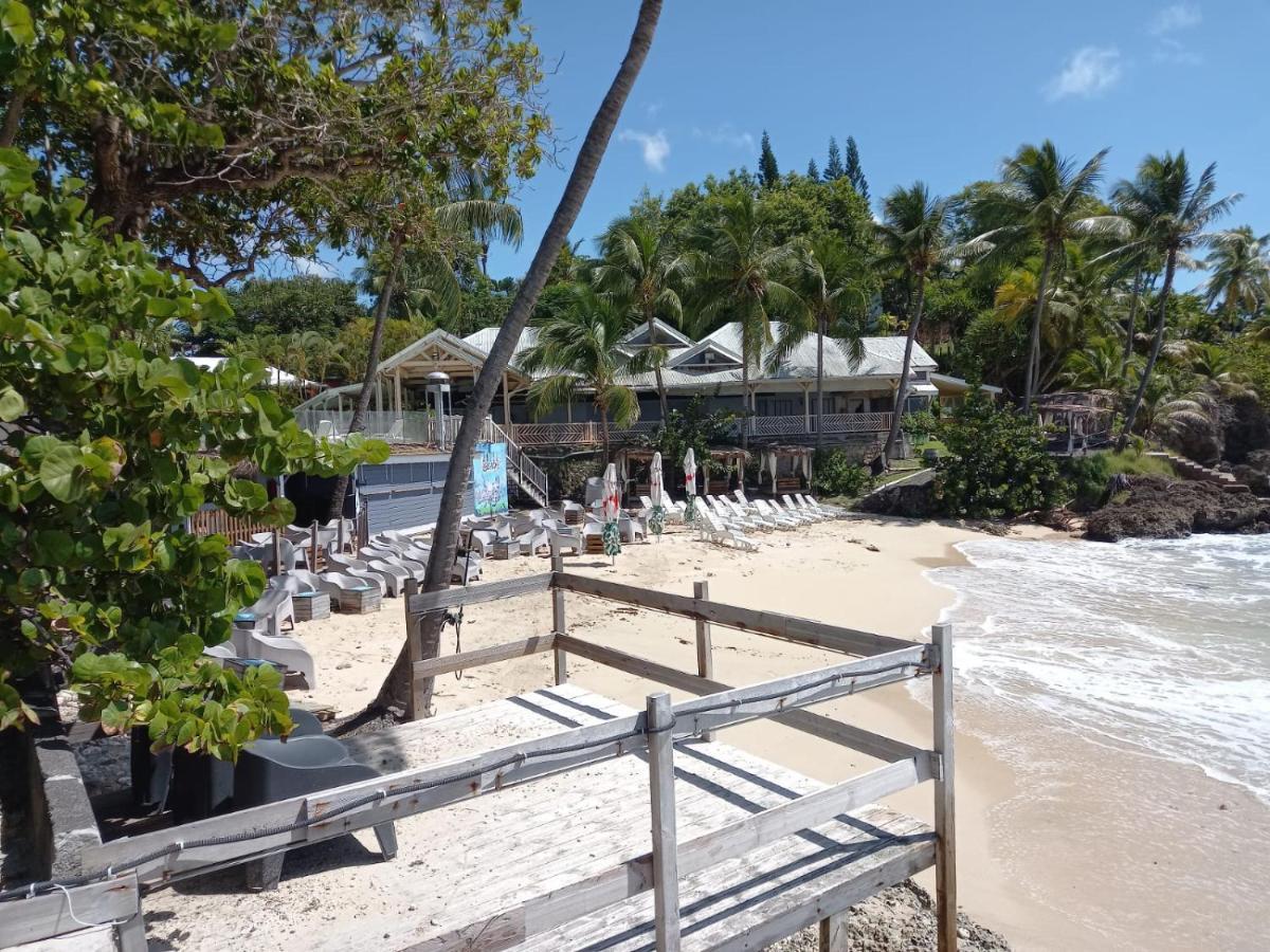 Grand Studio De 41 M², Vue Mer Et Jardin Tropical. Le Gosier  Exterior foto