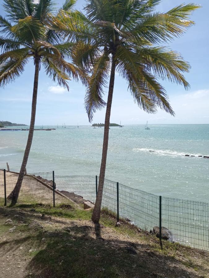 Grand Studio De 41 M², Vue Mer Et Jardin Tropical. Le Gosier  Exterior foto